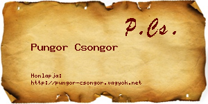 Pungor Csongor névjegykártya